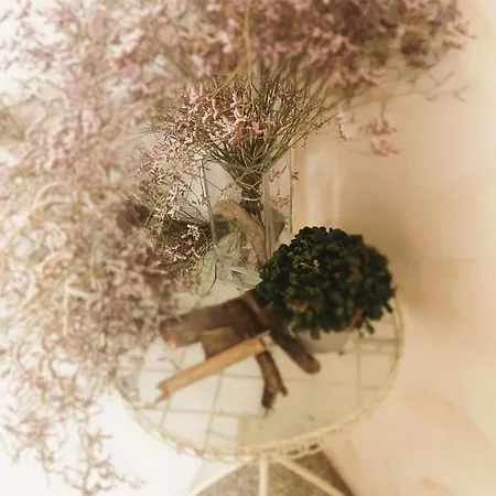 St Vincent * Collioure