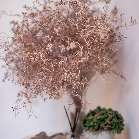 Apartman St Vincent *