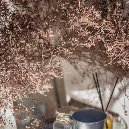 Apartman St Vincent Collioure