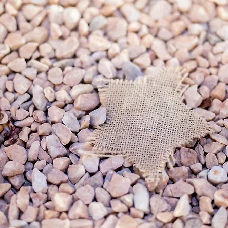 Appartement St Vincent Collioure